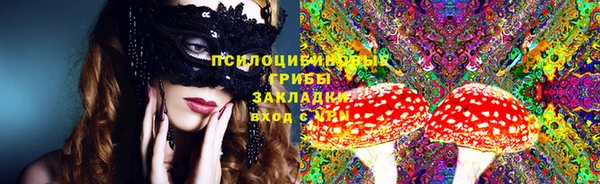 круглые Абаза